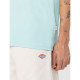 DICKIES, Ss mapleton tee, Pastl turquoise