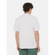 DICKIES, Aitkin chest tee ss, Wht/dark forest