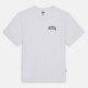 DICKIES, Aitkin chest tee ss, Wht/dark forest