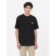 DICKIES, Summerdale tee ss, Black