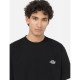 DICKIES, Summerdale tee ss, Black