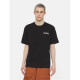 DICKIES, Beach tee ss, Black