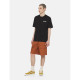 DICKIES, Beach tee ss, Black