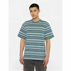 DICKIES, Glade spring tee ss, Hrzntl yd stripe coronet