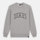 DICKIES, Aitkin sweatshirt, Gry/dark forest