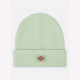 DICKIES, Gibsland beanie, Quiet green