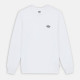 DICKIES, Summerdale tee ls, White