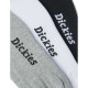 DICKIES, Dickies invisible sock, Assorted colour