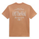 VANS, Holmdel ss tee, Copper tan