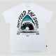 FARCI, Tee shark, White