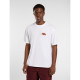 DICKIES, Graysville tee ss, White