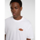 DICKIES, Graysville tee ss, White