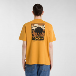 DICKIES, Darrtown ss tee, Sunflower