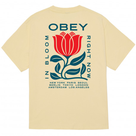 Obey in bloom - Pale yellow