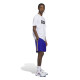ADIDAS, Skt wtr short, Royblu/white/preyel