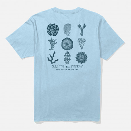 Coral head ss tee - Clear sky