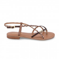 LES TROPEZIENNES, Monatres, Chocolat/multi