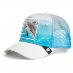 GOORIN BROS, Dolphin in the element, Dust