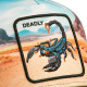 GOORIN BROS, Scorpion in the element, Palm