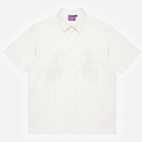 Olive - White