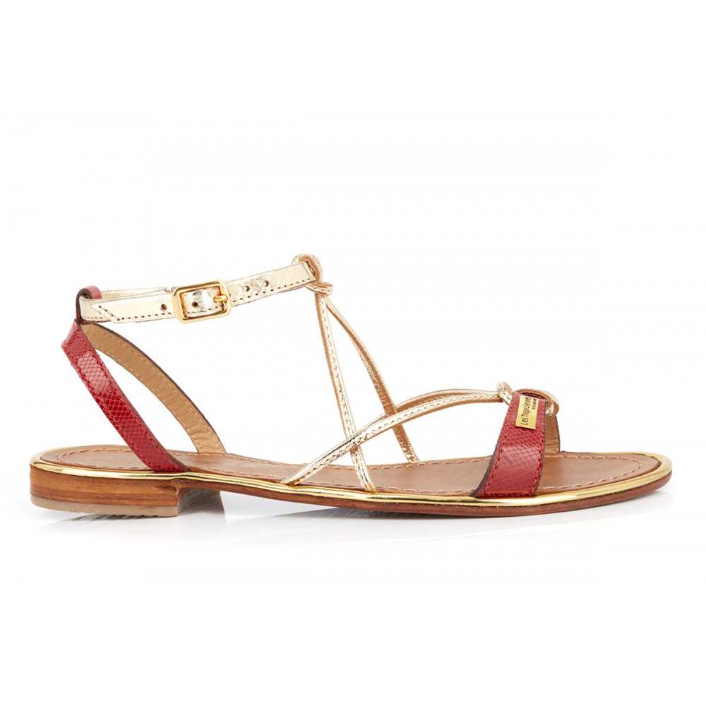 hirondel tropezienne