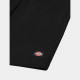 DICKIES, Champlin, Black