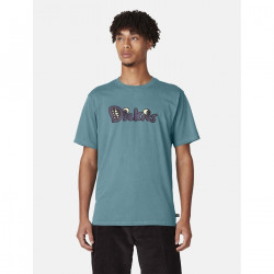DICKIES, M franky ss graphic tee, Vintage lincoln green