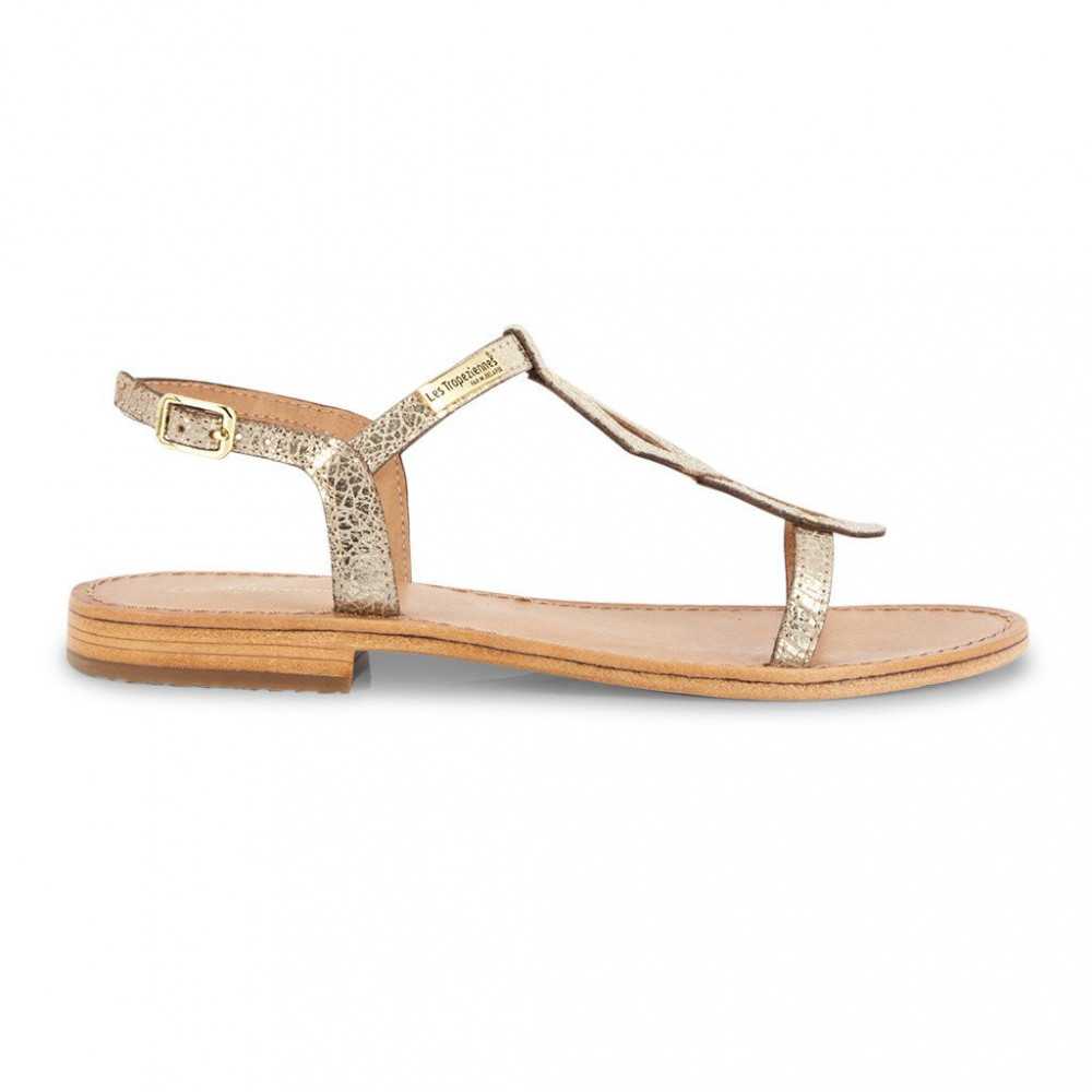 tropezienne hamat dore