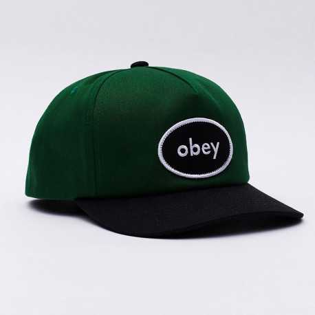 Lessons 5 panel snapback - Green multi