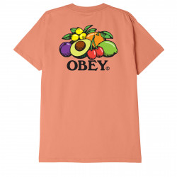 OBEY, Obey bowl of fruit, Citrus