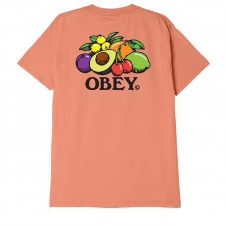 Obey bowl of fruit - Citrus