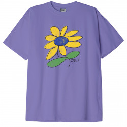 OBEY, Obey sun flower, Purple flower