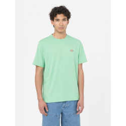 DICKIES, Ss mapleton t-shirt, Apple mint