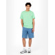 DICKIES, Ss mapleton t-shirt, Apple mint