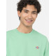 DICKIES, Ss mapleton t-shirt, Apple mint