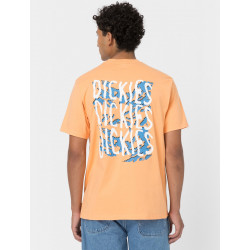 DICKIES, Creswell tee ss, Papaya smoothie