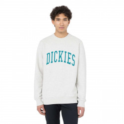 DICKIES, Aitkin sweatshirt, Gry/deep lake