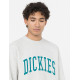 DICKIES, Aitkin sweatshirt, Gry/deep lake