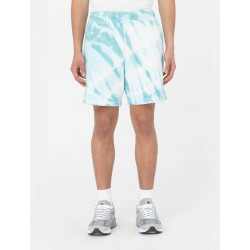 DICKIES, Westfir short, Sky blue