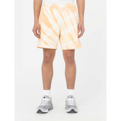 DICKIES, Westfir short, Impala