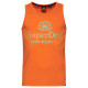 SUPERDRY, Vintage venue neon, New house orange