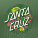 SANTA CRUZ, Asp flores dot front t-shirt, Sage