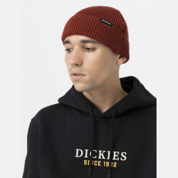 DICKIES, Woodworth beanie, Fired brick