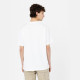 DICKIES, Summerdale tee ss, White