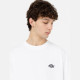 DICKIES, Summerdale tee ss, White