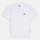 DICKIES, Summerdale tee ss, White