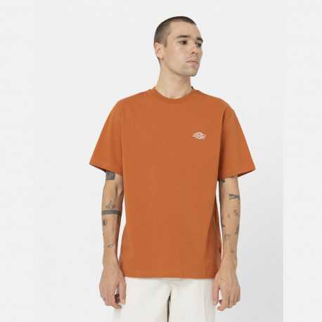 Summerdale ss tee bombay - Brown