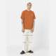 DICKIES, Summerdale ss tee bombay, Brown