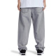 DC SHOES, Worker baggy, Grey wash